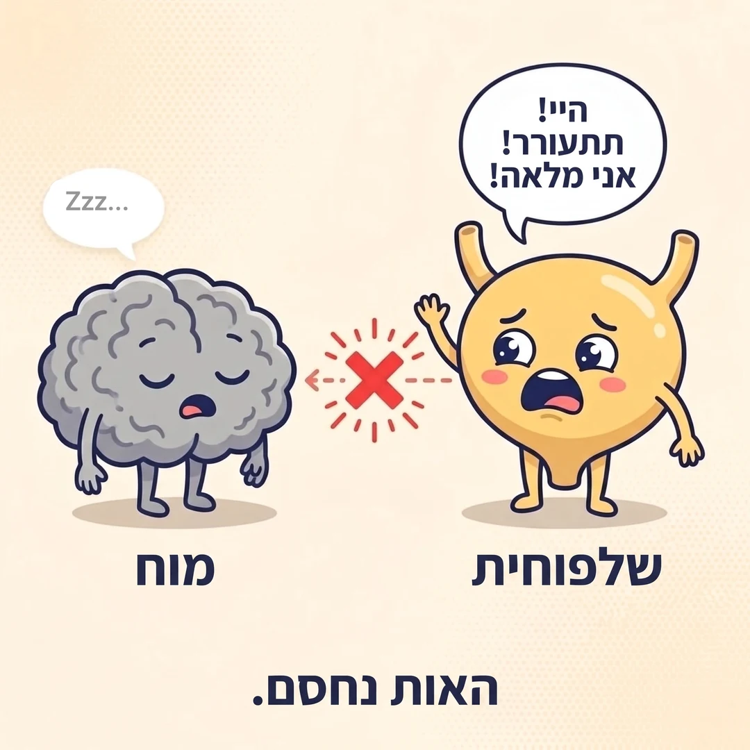 איור של שלפוחית שצועקת 'היי! תתעורר! אני מלאה!' והאות נחסם לפני שהוא מגיע למוח הישן