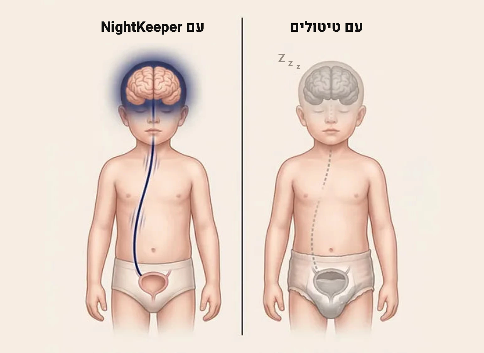איור משווה: עם טיטולים המוח של הילד נשאר ישן והאות מהשלפוחית לא עובר. עם NightKeeper המוח ער והאות מתחבר